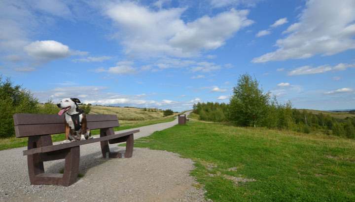 Reprocess Scheme Turns Surplus Plastic into Tables and Benches